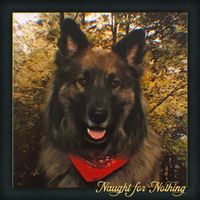 Naught for Nothing by Broadcast Failure