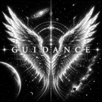 Guidance by MedLODIC by MedLODIC
