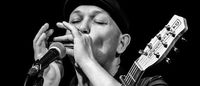 Elwood Blues Club