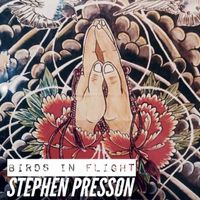 Sultans Of Swing by Stephen Presson
