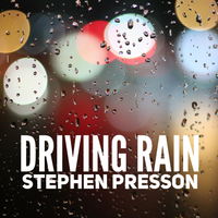 Driving Rain  by Stephen Presson