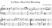 Lo How a Rose E'er Blooming