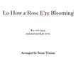 Lo How a Rose E'er Blooming