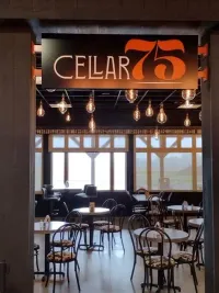 Scott Snyder @ the Cellar 75