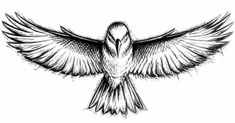 kuningaskalastaja logo, valkoinen tausta