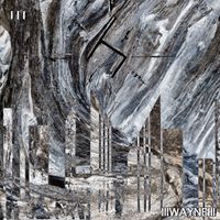 III by Wayne
