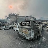 Downtown Firesale by Thrift Bakery
