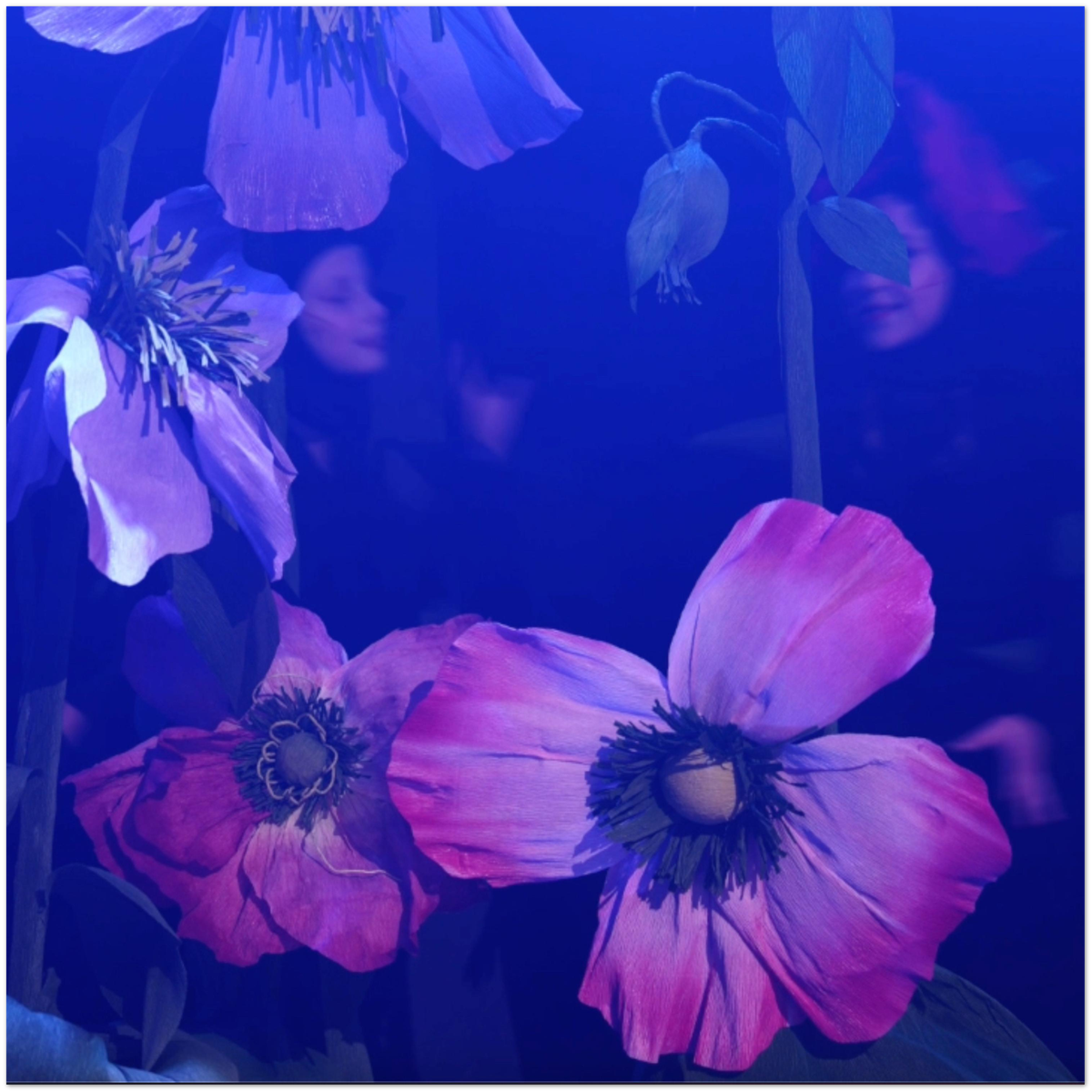Magic Garden - Fine Art Poster