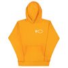 Future Cloud | Signature FC Lightning Cloud Hoodie (muted colors)