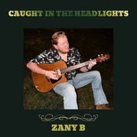 Caught in the Headlights by ZanyB