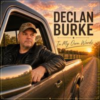 Irish In Me by Declan Burke