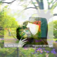 Separate the Sage by K Abby Jasper
