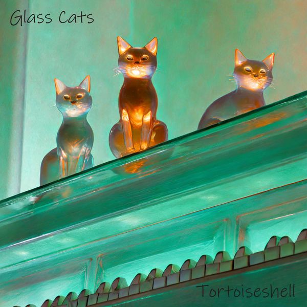 Tortoiseshell - CD