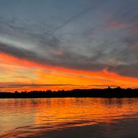 Chosen by Elizabeth Ann