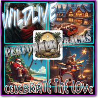 Celebrate The Love (Performer Tracks) by Wildlive