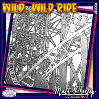 Wild, Wild Ride by Matt Phillip Collective