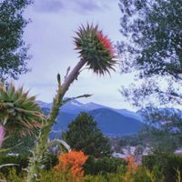 The Bend by Durow