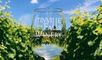 Solo Jojo at the Winery