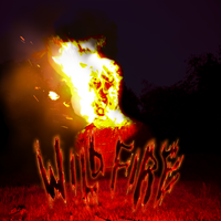 Wildfire by The Black Vipers