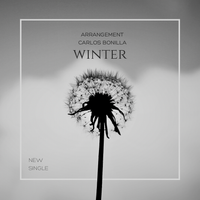 Vivaldi’s Winter for String Quartet + High-Energy Electronic Backing Track de 4Beats String Quartet