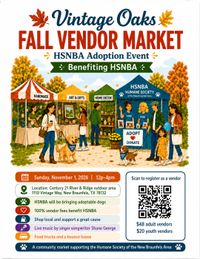 Vintage Oaks Fall Vendor Market