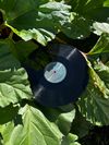 Good News Only - Vinyl