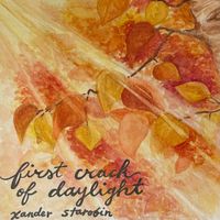 First Crack of Daylight by Xander Starobin