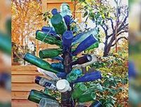The Bottle Trees Band