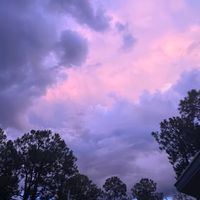 VIOLIN FLORIDA TRAP BEAT BPM 140 by Mellifluous
