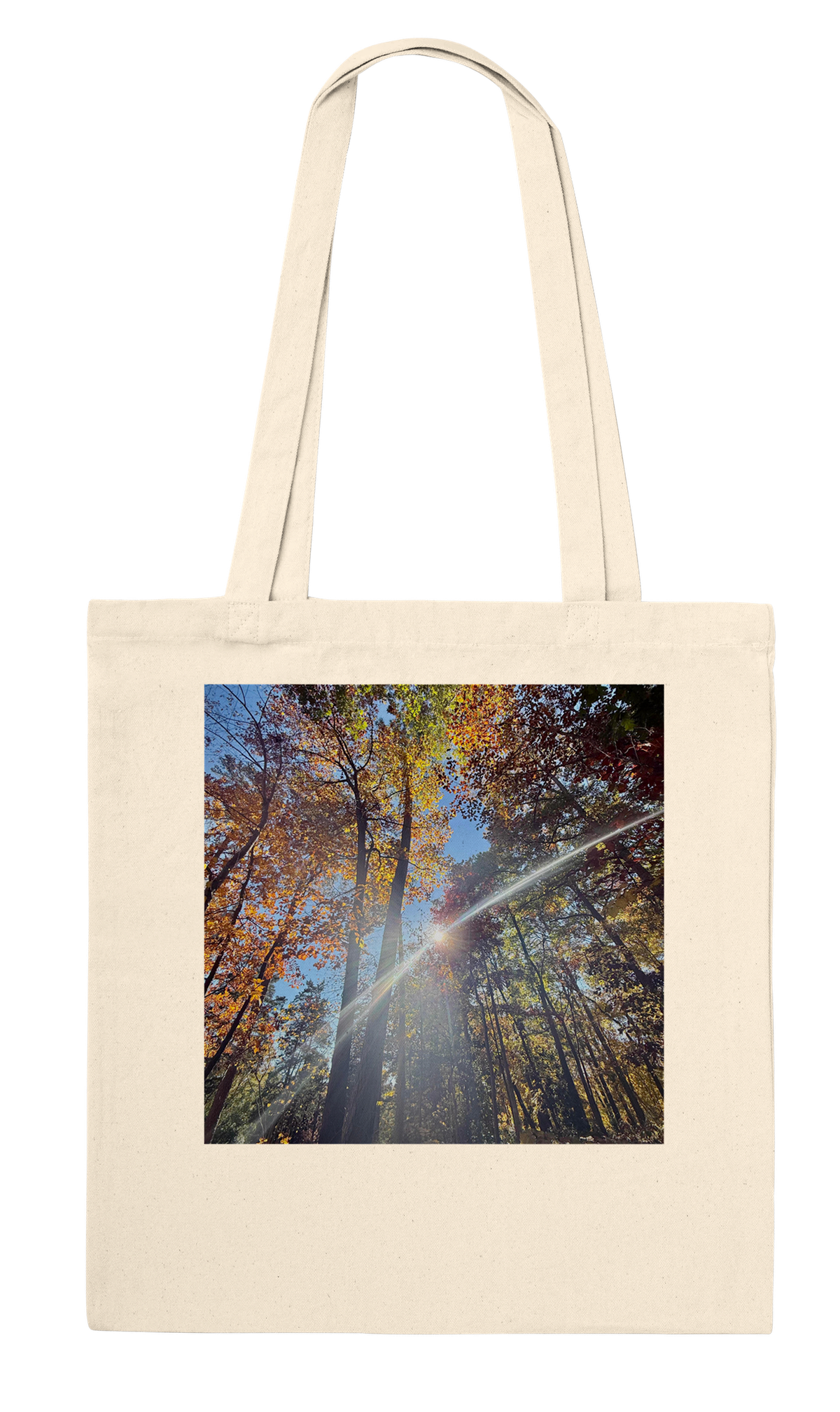 Fall Leaves - Tote
