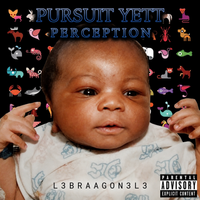 Pursuit Yett Perception by L3BRAAGON3L3