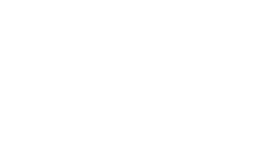 RJ Mercer