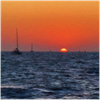 sinking ship - Fine Art Poster