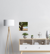 Cynical Youth - Fine Art Poster