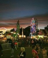 Waterloo Clyde at Franklin County Fair