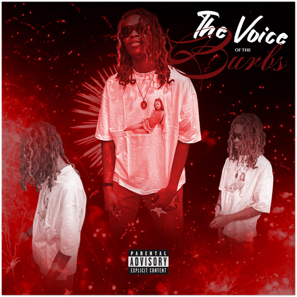 the voice of the burbs - Fine Art Poster