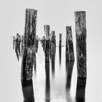 Without Words (Album) by Music by Christy Meyer