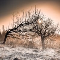 Another Sunrise (Album) by Music by Christy Meyer