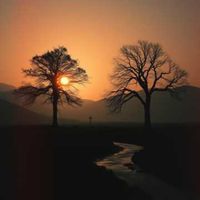 Two Trees by rocknscotty