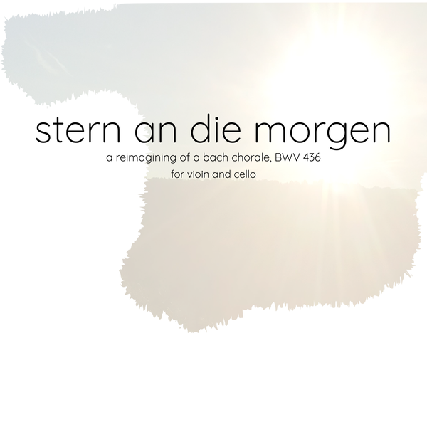 stern an die morgen