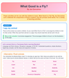 What Good is a Fly - Learning Activities