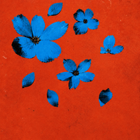 Your are the most beautiful flower by Demo 4
