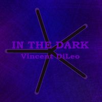 In The Dark B by Vincent DiLeo