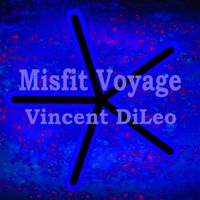 Misfit Voyage by Vincent DiLeo