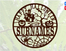 Custom Haunted House & Spider Web Family Name Halloween Sign