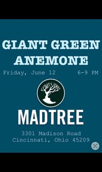 Madtree Music Series
