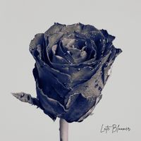 Late Bloomer by Jhoi