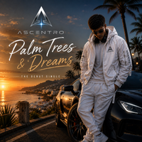 Palm Trees & Dreams by Ascentro