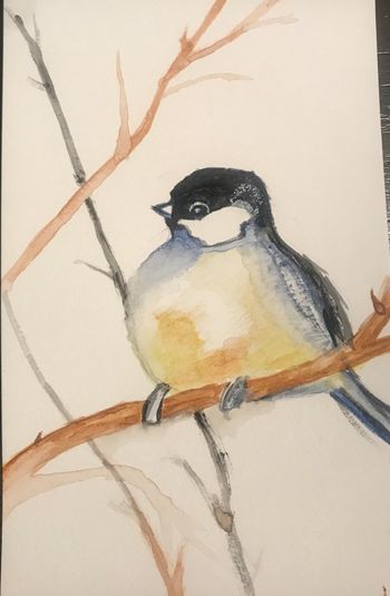 "Black-Capped Chickadee", watercolor/pencil
