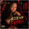Access Denied - Fine Art Poster